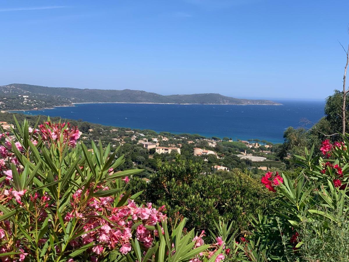 Villa Cacharelle Vue Mer Piscine Cavalaire-sur-Mer Exteriér fotografie