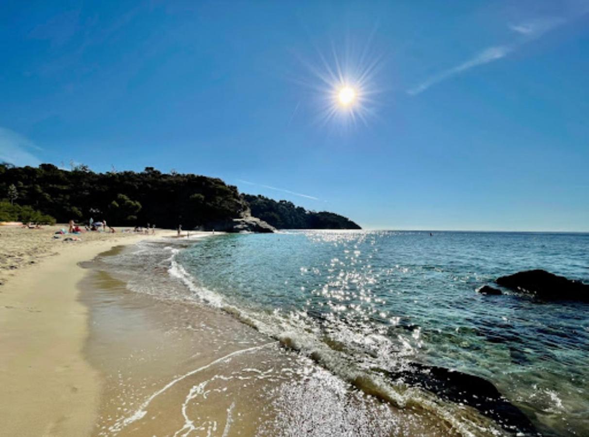 Villa Cacharelle Vue Mer Piscine Cavalaire-sur-Mer Exteriér fotografie
